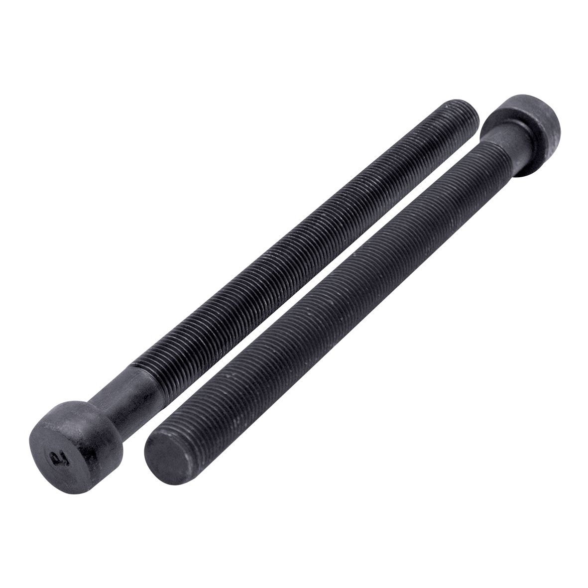 Tornillos de Cabeza Cilíndrica Allen